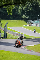 Middle Group Orange Bikes